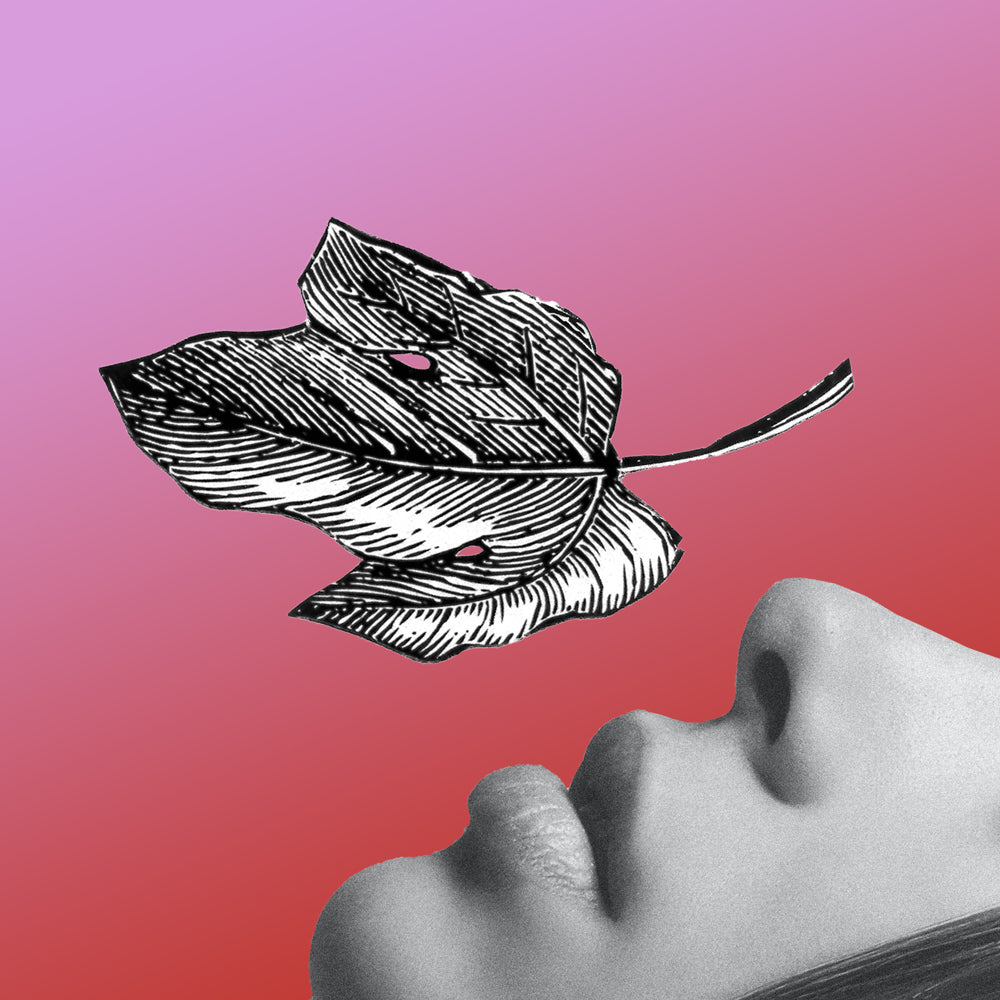 Hermetica Paris | Figfever - Memoire 2