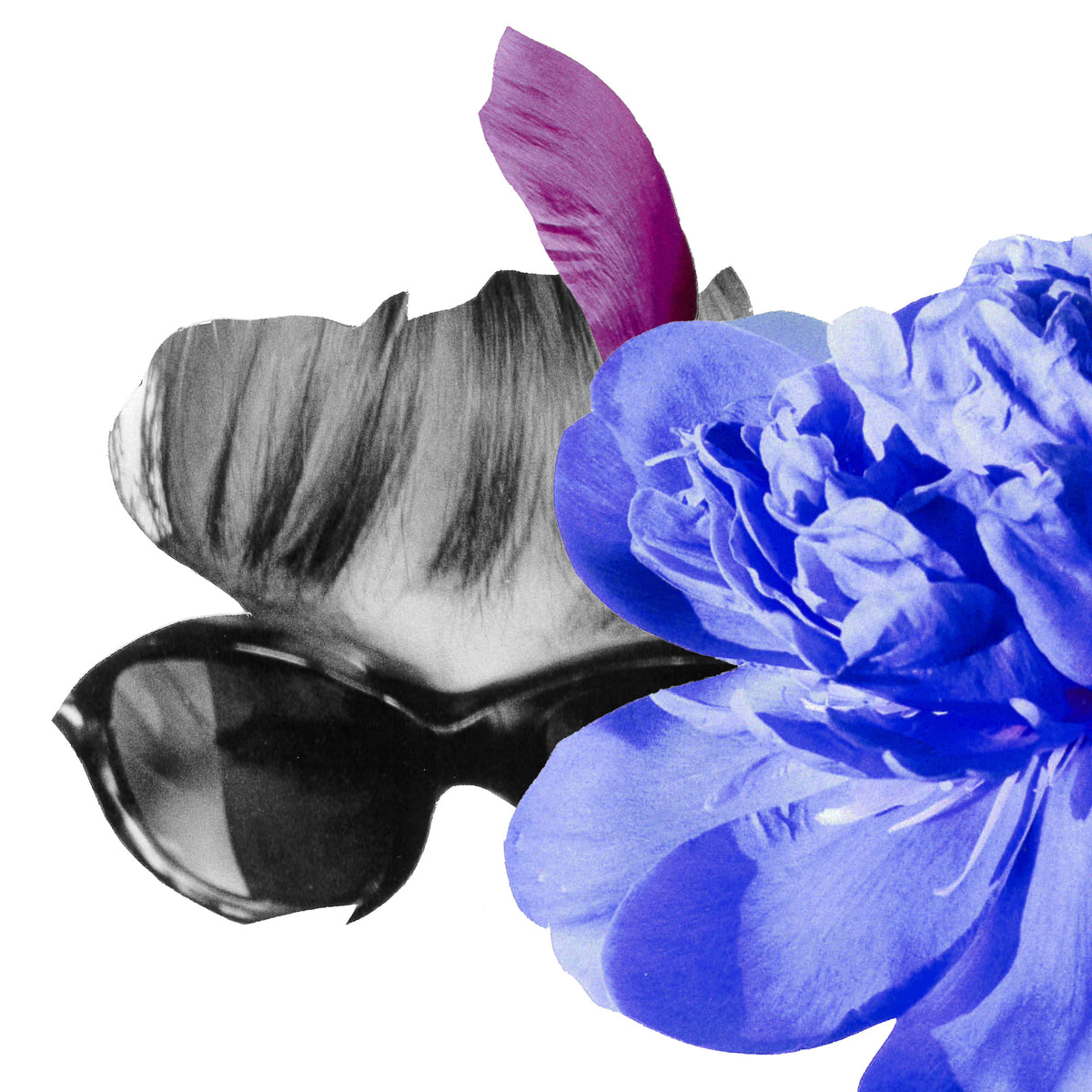 Hermetica Paris | Peonypop - Memoire 1