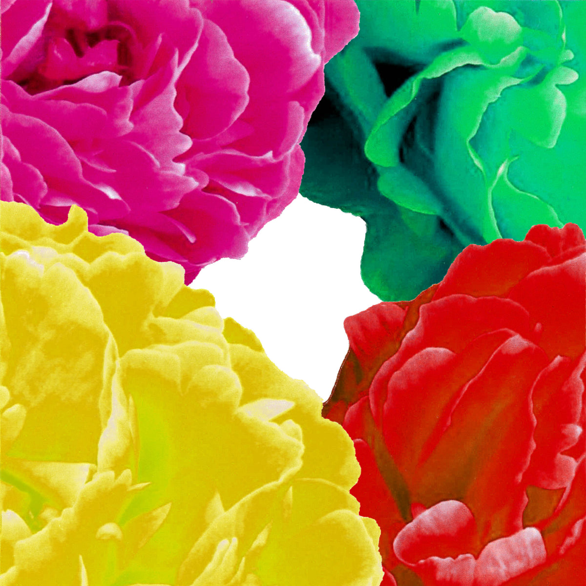 Hermetica Paris | Peonypop - Memoire 2