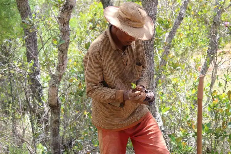 A person in a brown hat and fleece jacket examining something in their hands while standing among trees.