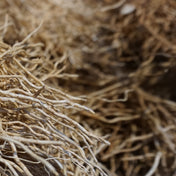 Vetiver Madagascar Essence